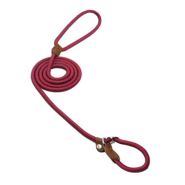 Nylon Pup Set collar and leash - photo 31 of 34