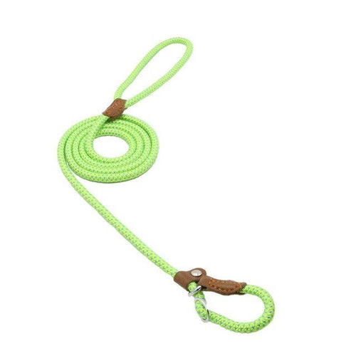 Nylon Pup Set collar and leash - photo 18 of 34