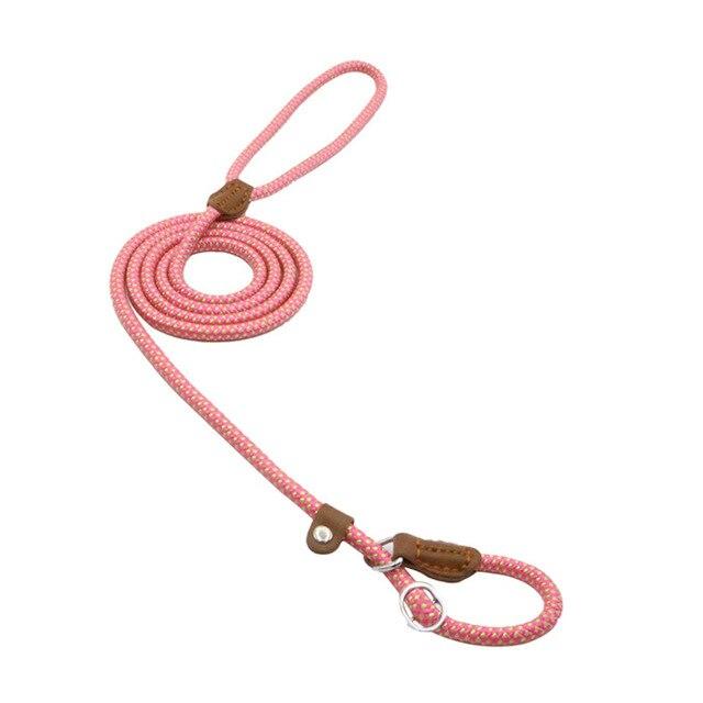 Nylon Pup Set collar and leash - photo 27 of 34