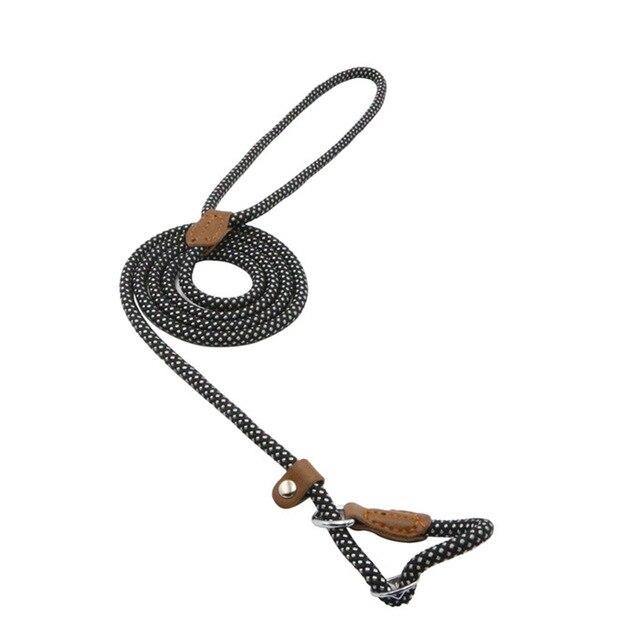 Nylon Pup Set collar and leash - photo 33 of 34