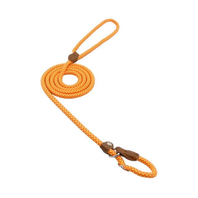 Nylon Pup Set collar and leash - photo 32 of 34