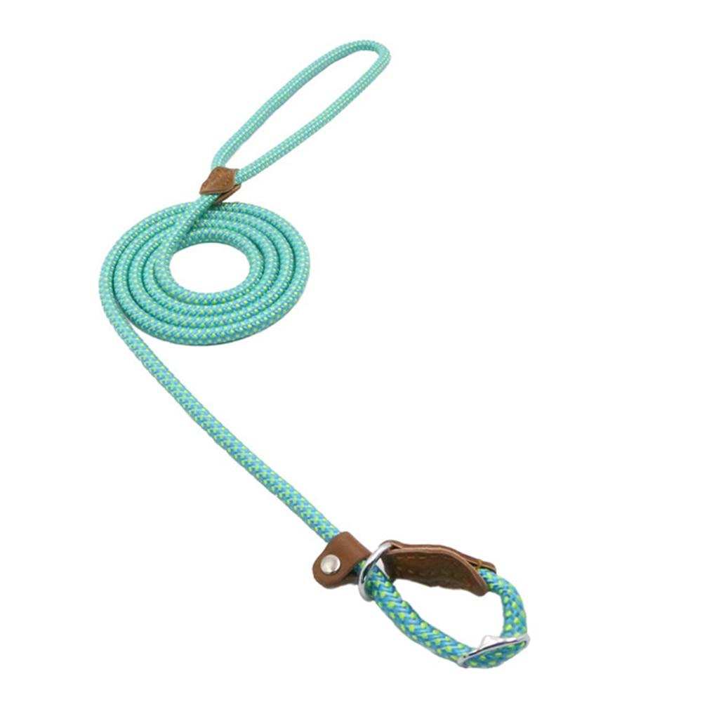 Nylon Pup Set collar and leash - photo 28 of 34